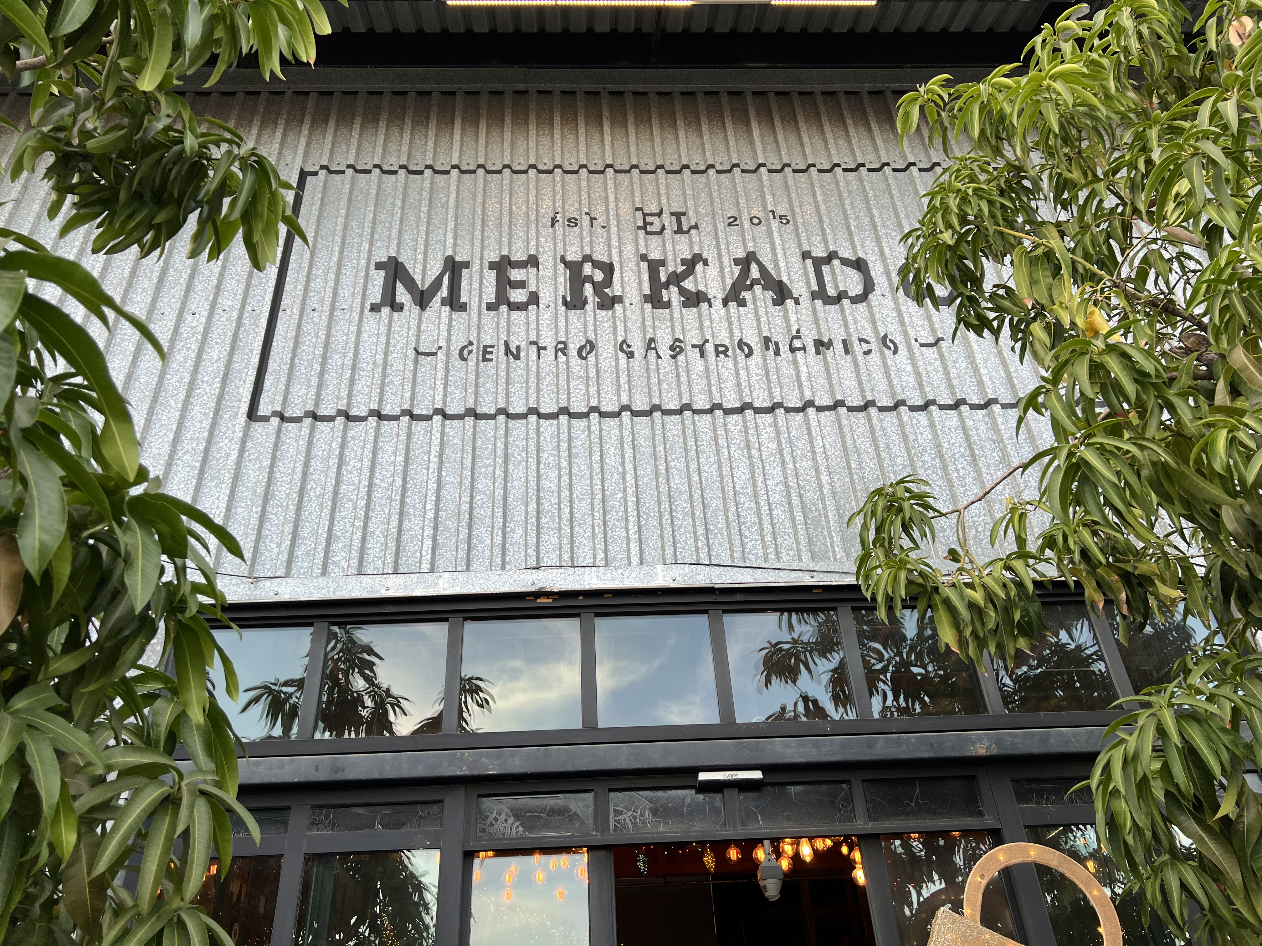 ./2024/13 - Cabo/IMG_4145.jpg